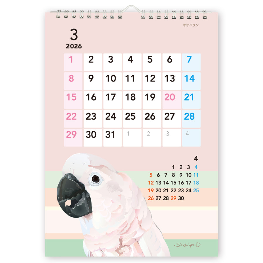 2026 Beautiful Birds Wall Calendar