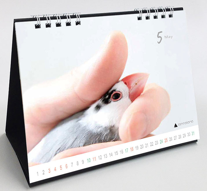 (PRE-ORDER) 2025 Java Sparrow Desk Calendar