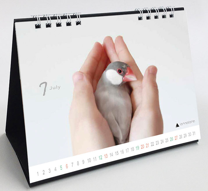 (PRE-ORDER) 2025 Java Sparrow Desk Calendar