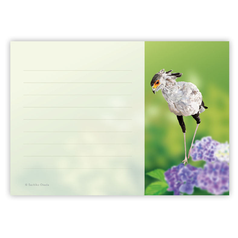 Secretary Bird Memo Pad