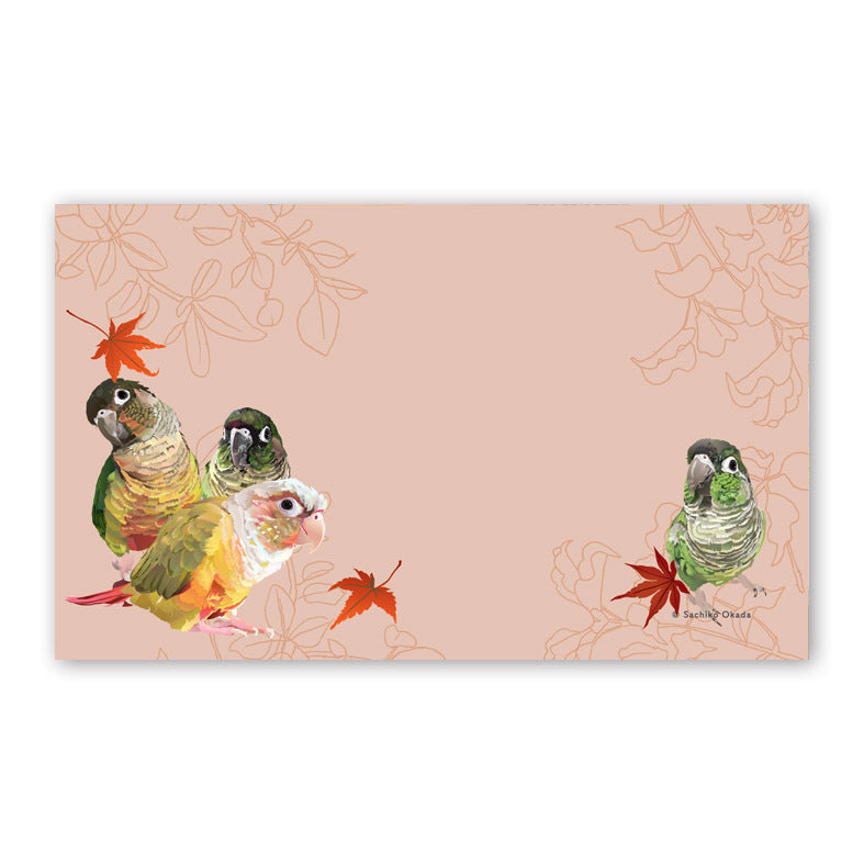 Set of 10 Conure Mini Message Card