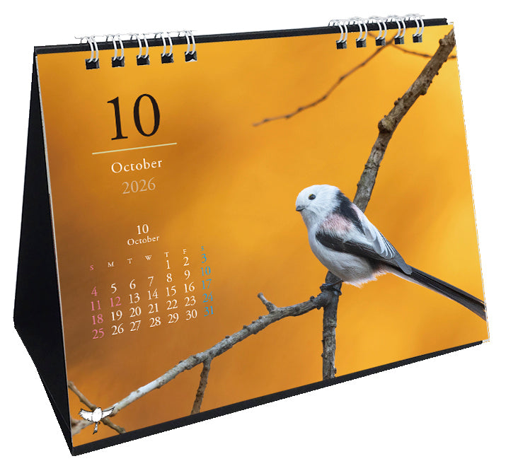 2026 Long-tailed Tit Desk Calendar