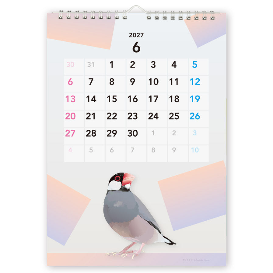 "Pre-order " 2027 Beautiful Birds Wall Calendar
