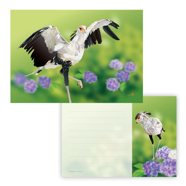 Secretary Bird Memo Pad
