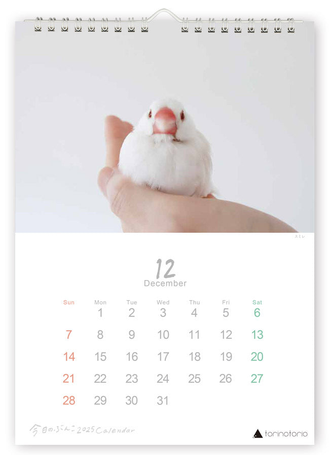 (PRE-ORDER) 2025 Java Sparrow Wall Calendar