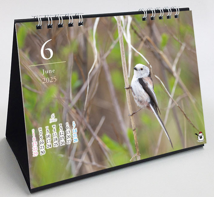 2025 Long-tailed Tit Four Season Desk Calendar