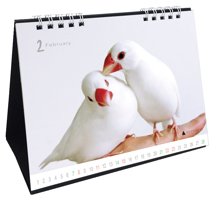 “Pre-order” 2026 Java Sparrow Desk Calendar