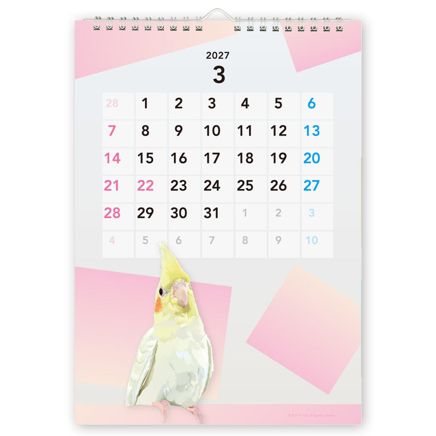 "Pre-order " 2027 Beautiful Birds Wall Calendar