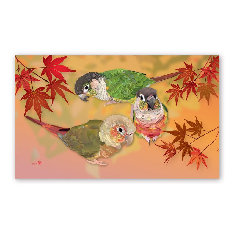 Set of 10 Conure Mini Message Card