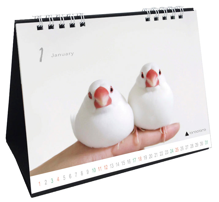 “Pre-order” 2026 Java Sparrow Desk Calendar