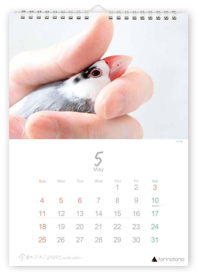 (PRE-ORDER) 2025 Java Sparrow Wall Calendar