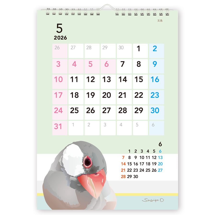 2026 Beautiful Birds Wall Calendar