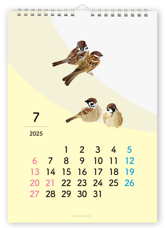 2025 Beautiful Birds Wall Calendar