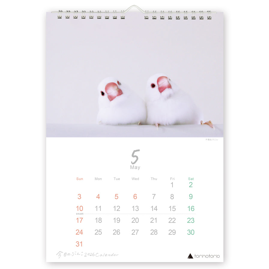 "Pre-order " 2026 Java Sparrow Wall Calendar