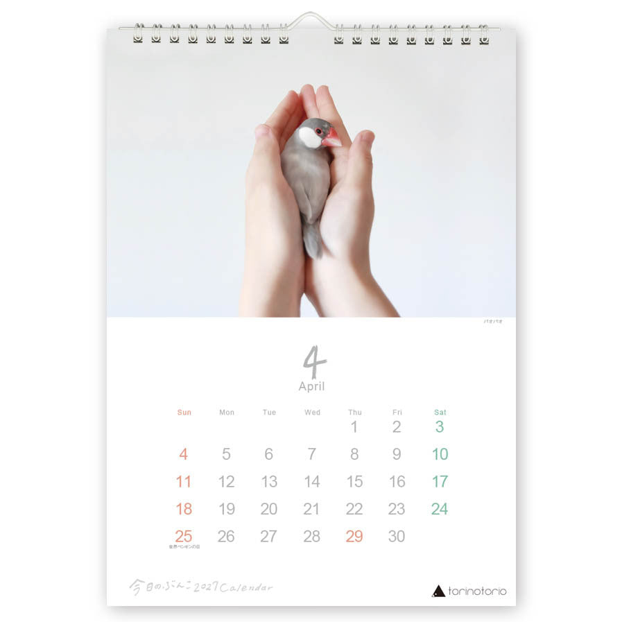 "Pre-order " 2027 Java Sparrow Wall Calendar