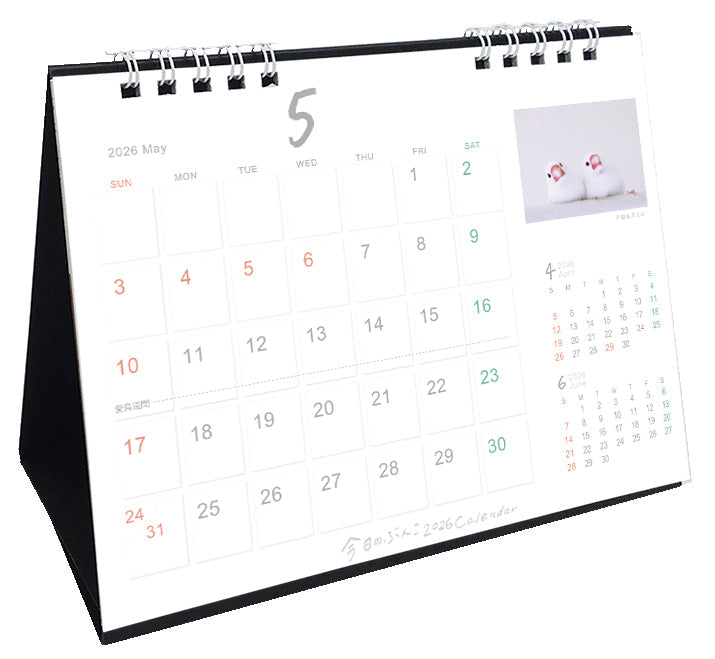 “Pre-order” 2026 Java Sparrow Desk Calendar