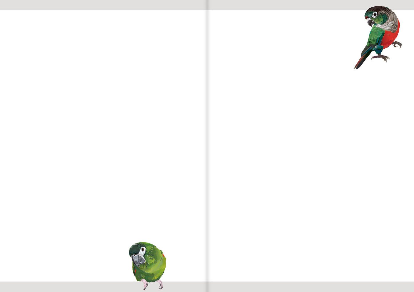 2026 Beautiful Birds Planner Diary Schedule Book A6 size (December 2025 Start)