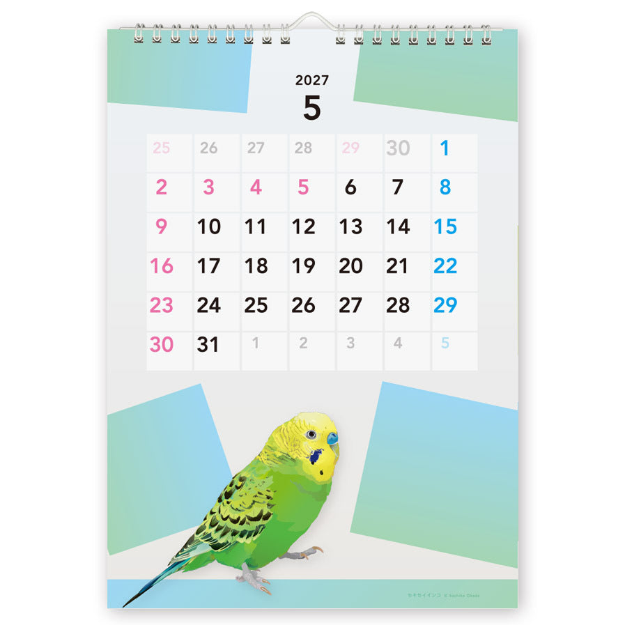 "Pre-order " 2027 Beautiful Birds Wall Calendar