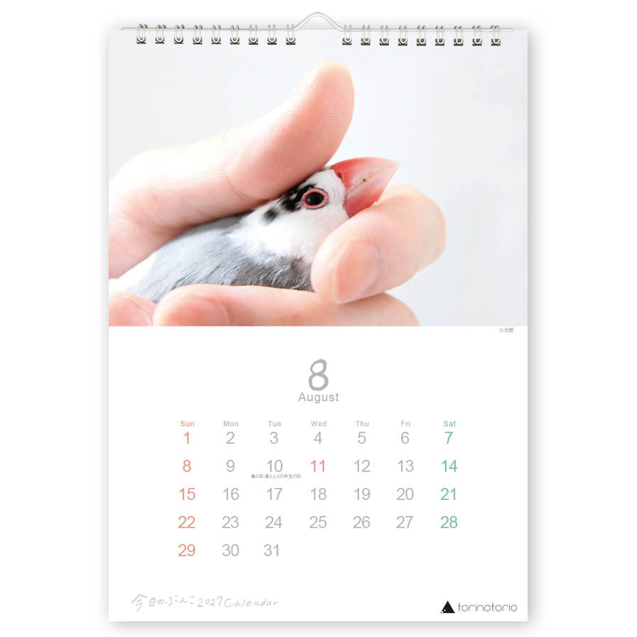 "Pre-order " 2027 Java Sparrow Wall Calendar