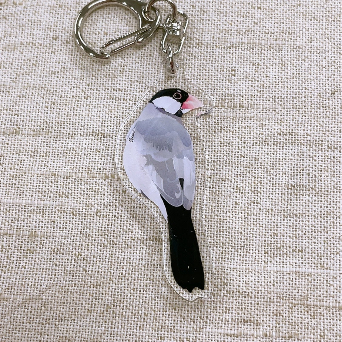 (Made-to-order requests are currently closed. Please wait until we reopen.) Made-to-Order Java Sparrow Acrylic Key Holder