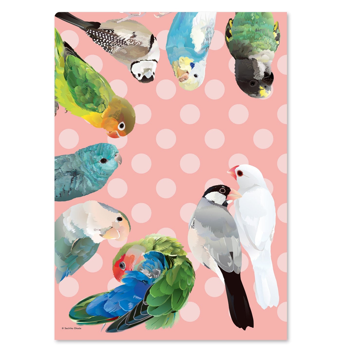 Kotori Palette Birds A4 File Folder Organizer