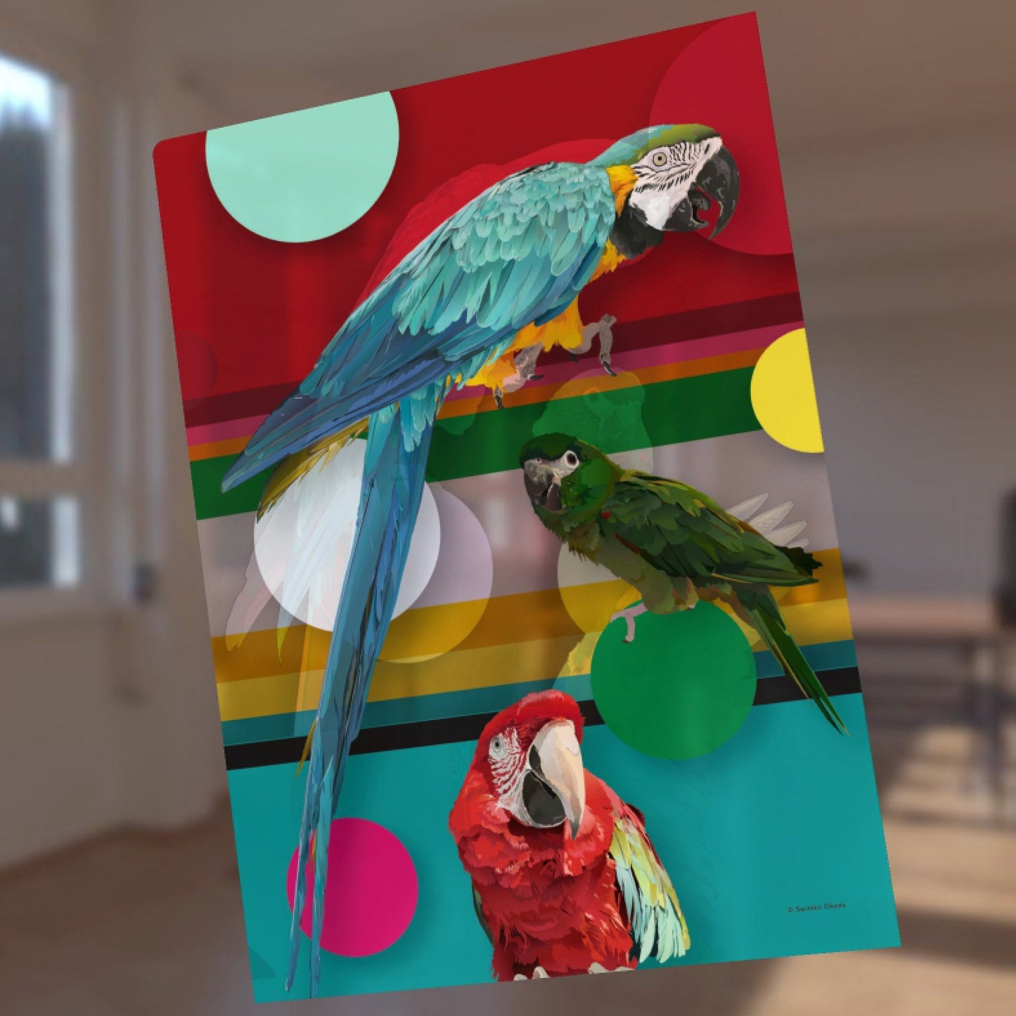 Macaw A4 File Folder Organizer