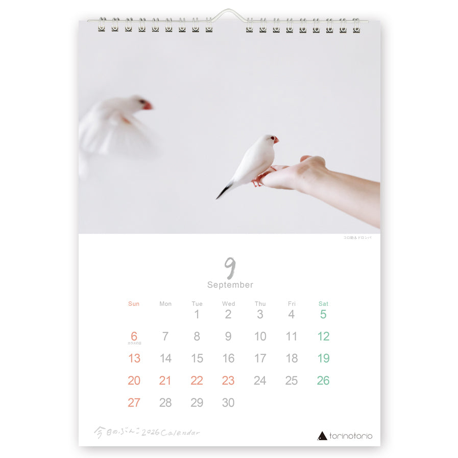 "Pre-order " 2026 Java Sparrow Wall Calendar