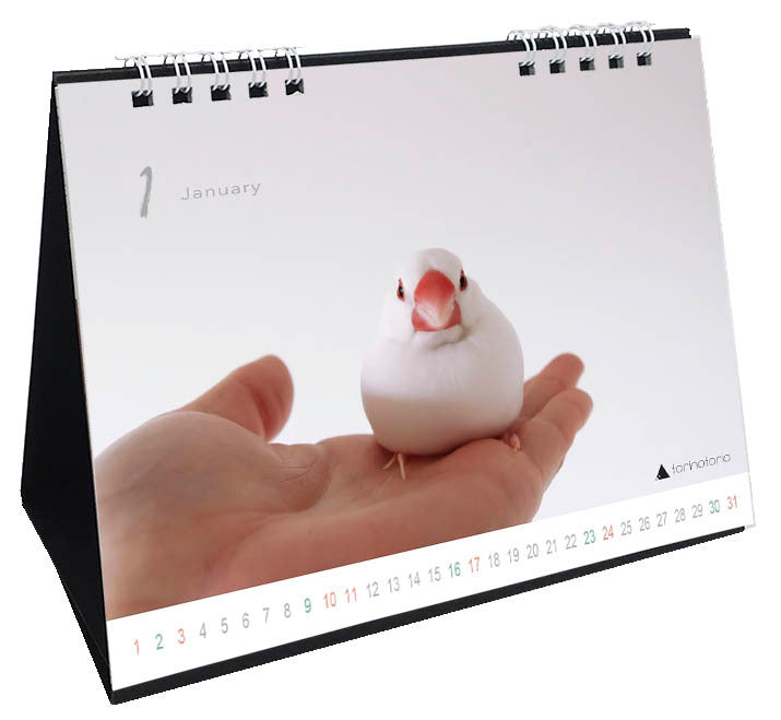 "Pre-order "  2027 Java Sparrow Desk Calendar