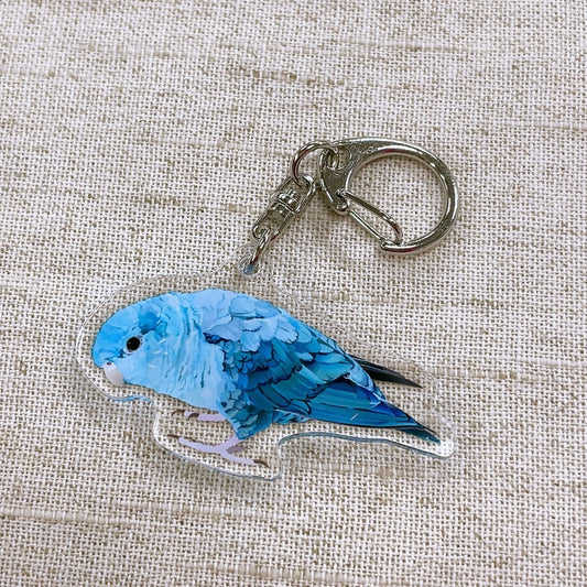 Made-to-Order Barred Parakeet Acrylic Key Holder – Order by Nov. 19, 2025/ Estimated Shipping Date: Mid Dec. 2025