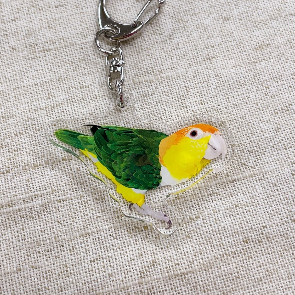 (Made-to-order requests are currently closed. Please wait until we reopen.) Made-to-Order White-Bellied Caique Acrylic Key Holder
