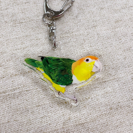(Made-to-order requests are currently closed. Please wait until we reopen.) Made-to-Order White-Bellied Caique Acrylic Key Holder