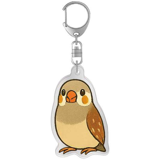 Made-to-Order Society Finch Acrylic Key Holder – Order by Nov. 19, 2025/ Estimated Shipping Date: Mid Dec. 2025