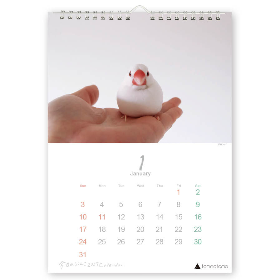 "Pre-order " 2027 Java Sparrow Wall Calendar