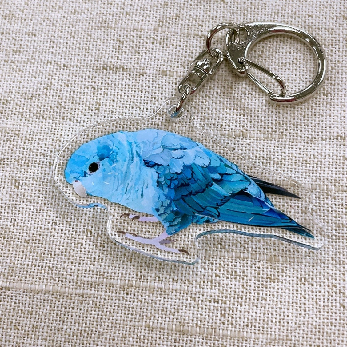 Barred Parakeet Acrylic Key Holder