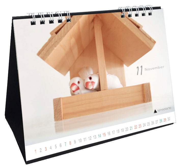 “Pre-order” 2026 Java Sparrow Desk Calendar