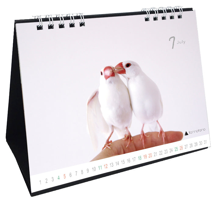 “Pre-order” 2026 Java Sparrow Desk Calendar