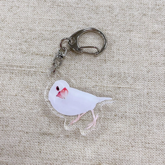 Made-to-Order Java Sparrow Acrylic Key Holder – Order by Nov. 19, 2025/ Estimated Shipping Date: Mid Dec. 2025