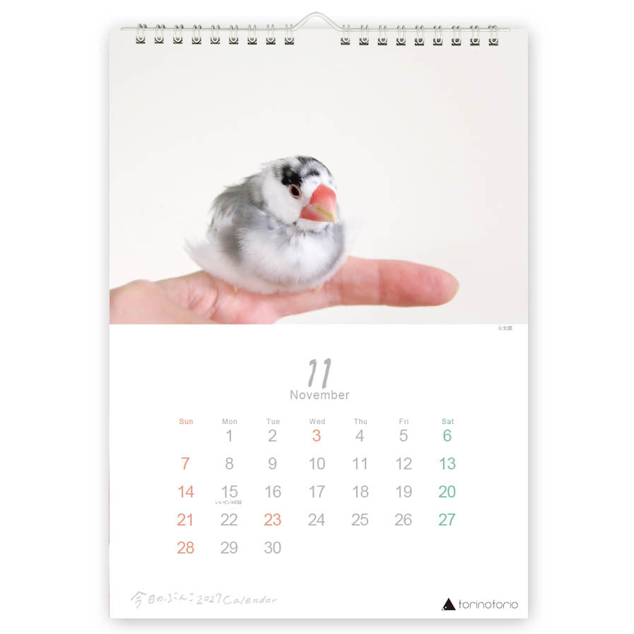 "Pre-order " 2027 Java Sparrow Wall Calendar