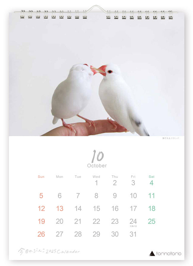 (PRE-ORDER) 2025 Java Sparrow Wall Calendar