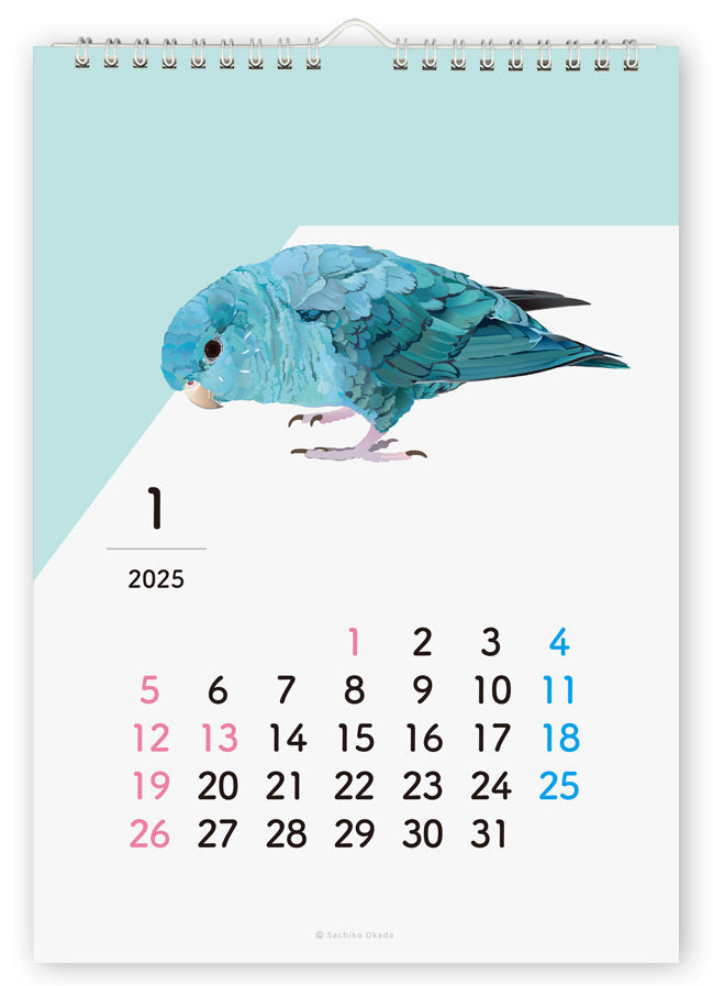 2025 Beautiful Birds Wall Calendar