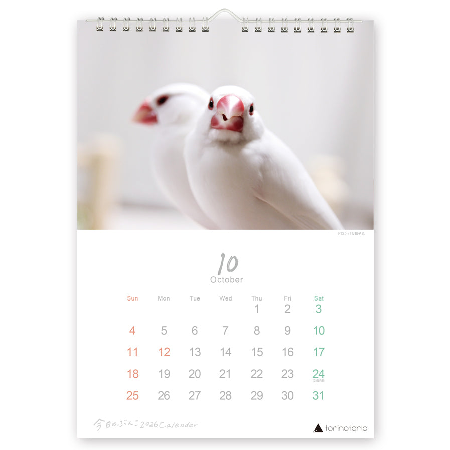 "Pre-order " 2026 Java Sparrow Wall Calendar