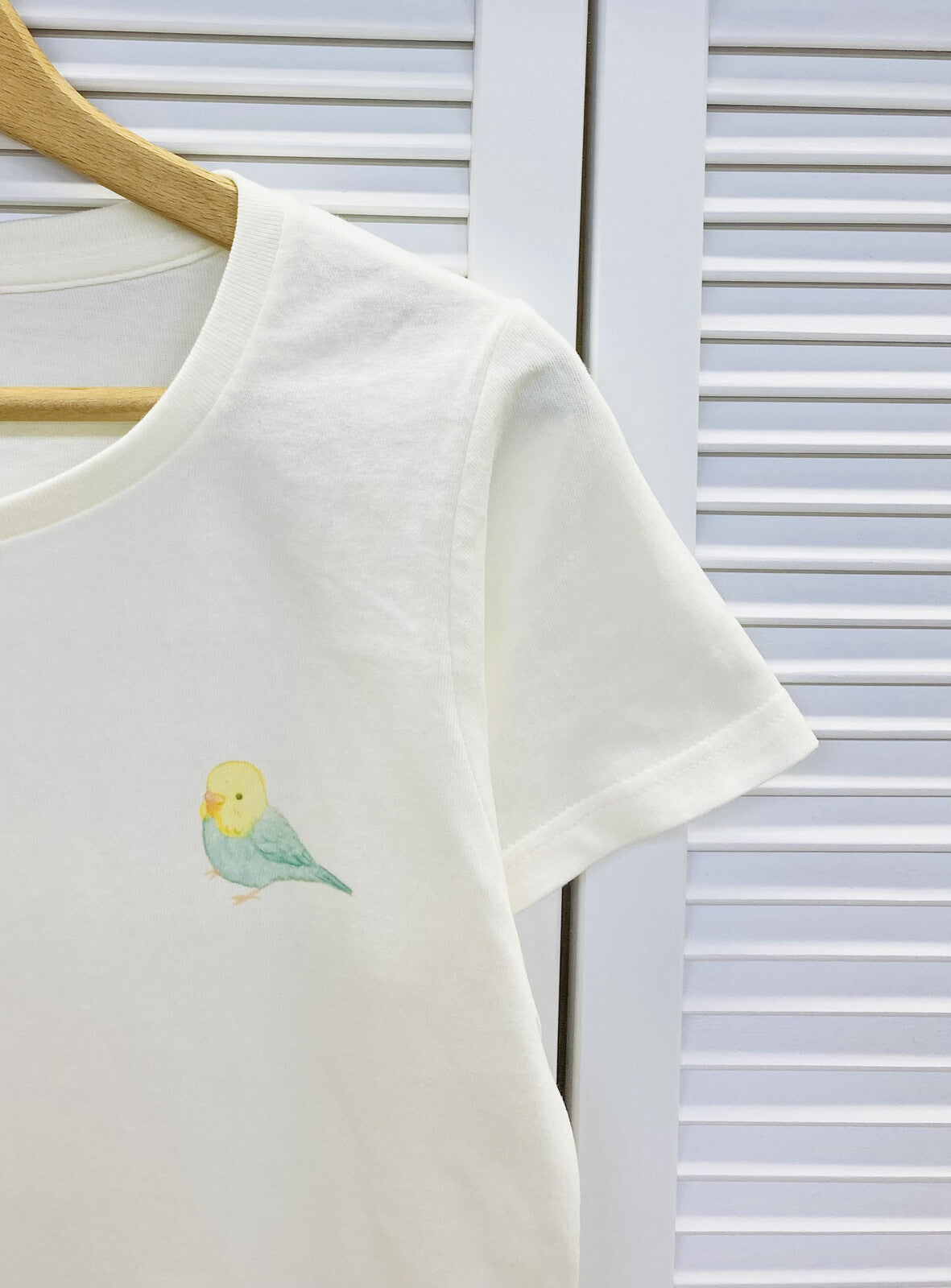 Birds Ferris Wheel Women's T-shirt (Made to Order)
