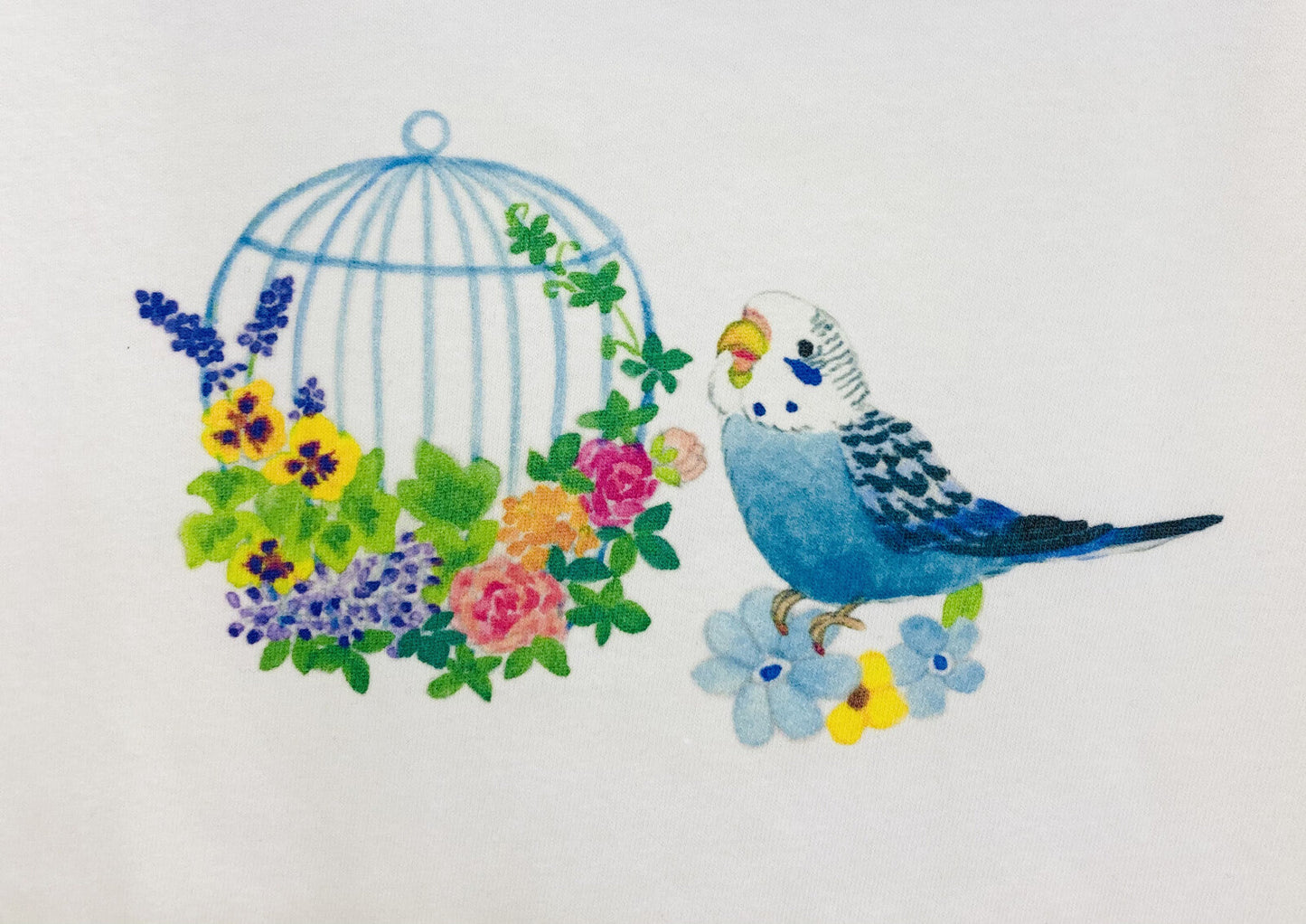Budgie Bird Cage Women's T-shirt (Made to Order)