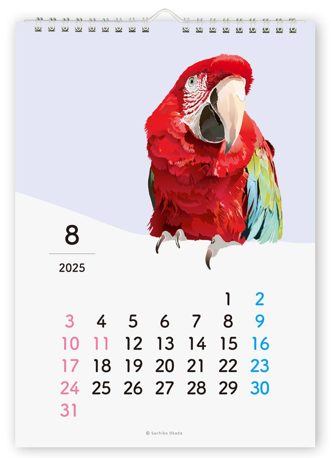 2025 Beautiful Birds Wall Calendar