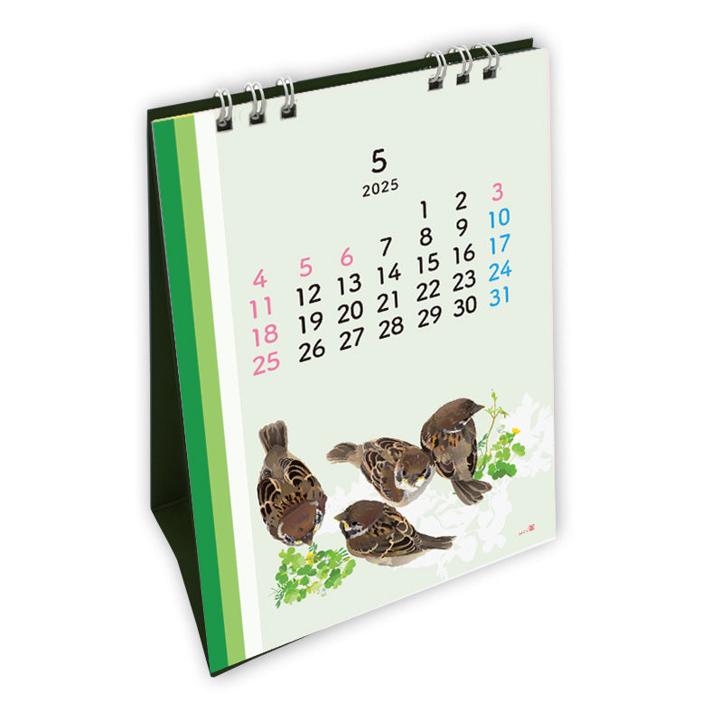 2025 Beautiful Birds Desk Calendar