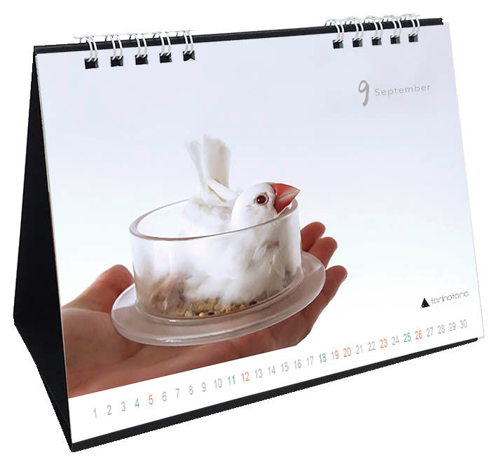 "Pre-order "  2027 Java Sparrow Desk Calendar