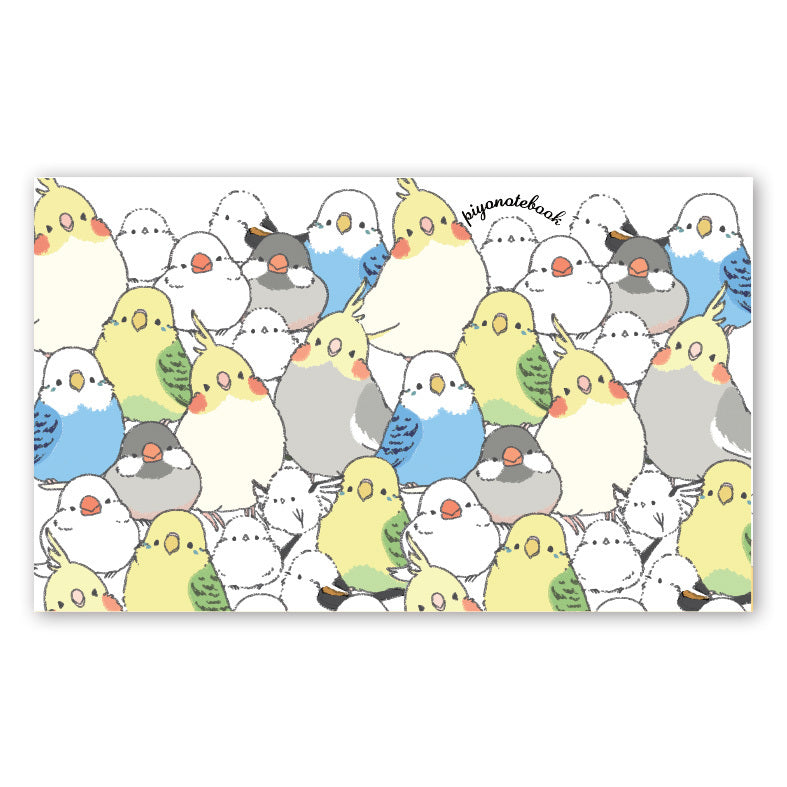 Set of 10 Birds Mini Message Card