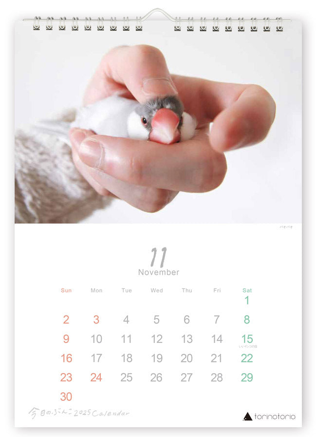 (PRE-ORDER) 2025 Java Sparrow Wall Calendar