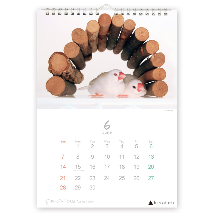 "Pre-order " 2026 Java Sparrow Wall Calendar