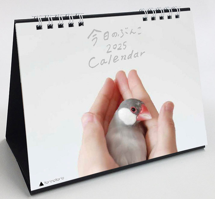 (PRE-ORDER) 2025 Java Sparrow Desk Calendar